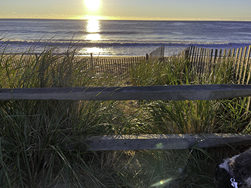 Bay Head, NJ vs Spring Lake: Tax Rates & Commutes